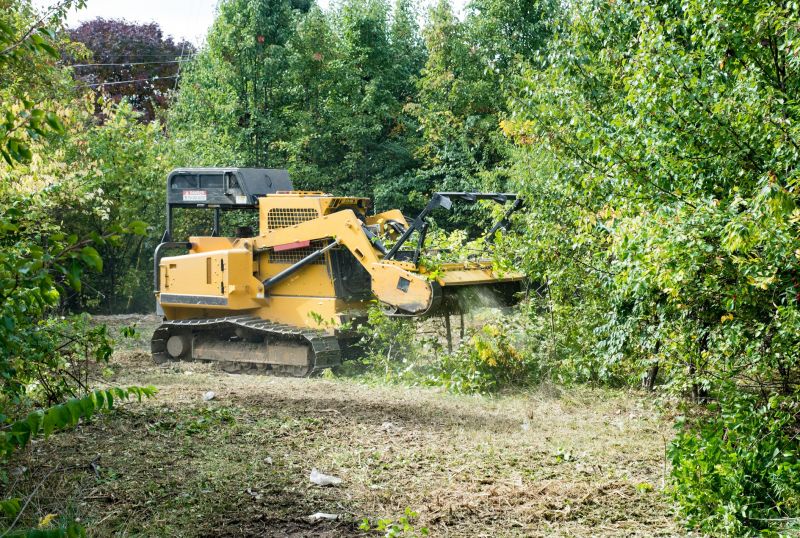 Undergrowth Removal in Gwinnett County, GA